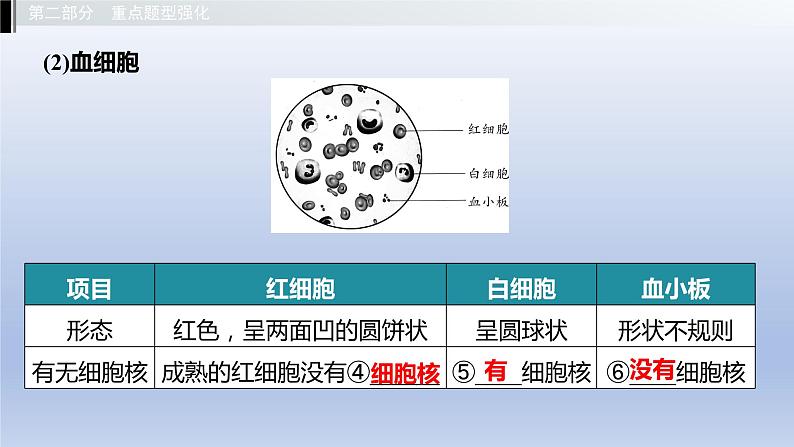 第二单元我们的身体与健康地生活第二章爱护心脏确保运输课件2021年广西中考生物基础复习04