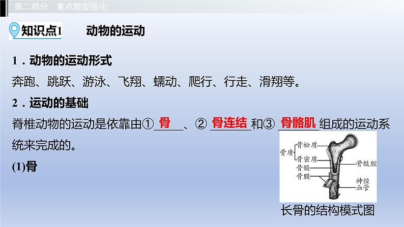 第四单元动物的生活第一章动物的运动第二章动物的行为课件2021年广西中考生物基础复习03