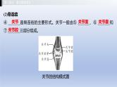 第四单元动物的生活第一章动物的运动第二章动物的行为课件2021年广西中考生物基础复习