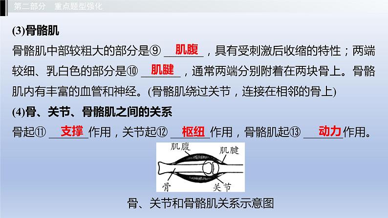 第四单元动物的生活第一章动物的运动第二章动物的行为课件2021年广西中考生物基础复习08