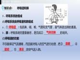 第二单元我们的身体与健康地生活第三章　健肺强肾　精力充沛课件2021年广西中考生物基础复习