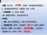 第二单元我们的身体与健康地生活第一章合理膳食平衡营养课件2021年广西中考生物基础复习