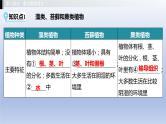 第一单元我们身边的生命世界第三章形形色色的植物课件2021年广西中考生物基础复习
