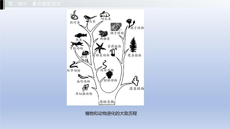 第六单元生物的繁衍和发展第三、四章生命的起源与生物的进化现代生物技术课件2021年广西中考生物基础复习第7页