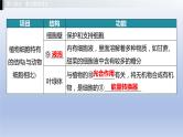第一单元我们身边的生命世界第二章生物体的结构层次课件2021年广西中考生物基础复习