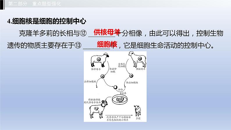 第一单元我们身边的生命世界第二章生物体的结构层次课件2021年广西中考生物基础复习06