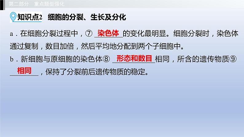 第一单元我们身边的生命世界第二章生物体的结构层次课件2021年广西中考生物基础复习08