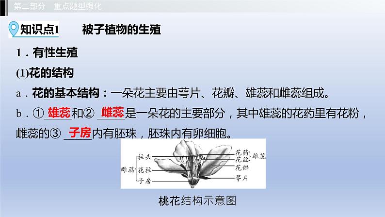 第六单元生物的繁衍和发展第一章生物的繁殖课件2021年广西中考生物基础复习03