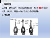 第六单元生物的繁衍和发展第一章生物的繁殖课件2021年广西中考生物基础复习