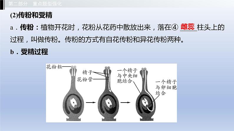 第六单元生物的繁衍和发展第一章生物的繁殖课件2021年广西中考生物基础复习04