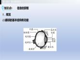 第二单元我们的身体与健康地生活第四章合理用脑高效学习第五章正常发育健康成长课件2021年广西中考生物基础复习