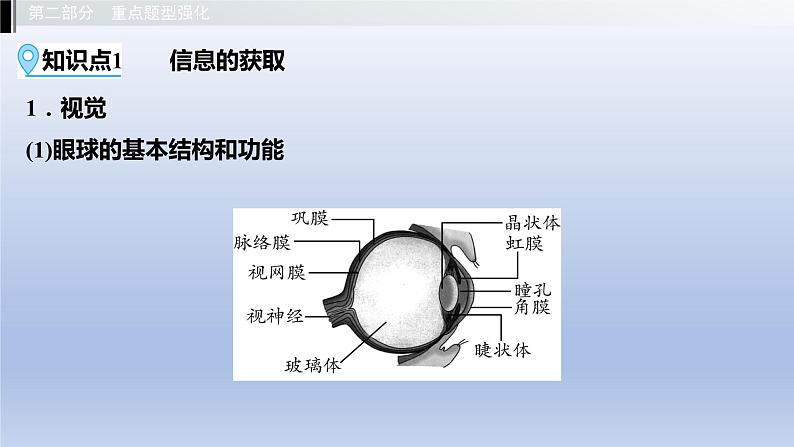 第二单元我们的身体与健康地生活第四章合理用脑高效学习第五章正常发育健康成长课件2021年广西中考生物基础复习第3页