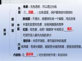 第二单元我们的身体与健康地生活第四章合理用脑高效学习第五章正常发育健康成长课件2021年广西中考生物基础复习