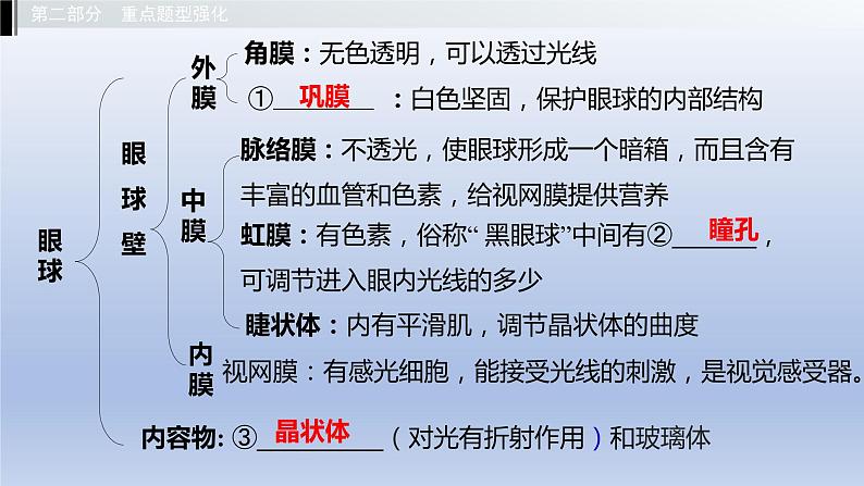 第二单元我们的身体与健康地生活第四章合理用脑高效学习第五章正常发育健康成长课件2021年广西中考生物基础复习第4页