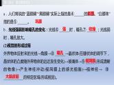 第二单元我们的身体与健康地生活第四章合理用脑高效学习第五章正常发育健康成长课件2021年广西中考生物基础复习