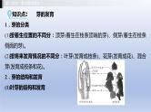 第三单元植物的生活第一章种子的萌发和芽的发育第二章根的吸收作用课件2021年广西中考生物基础复习