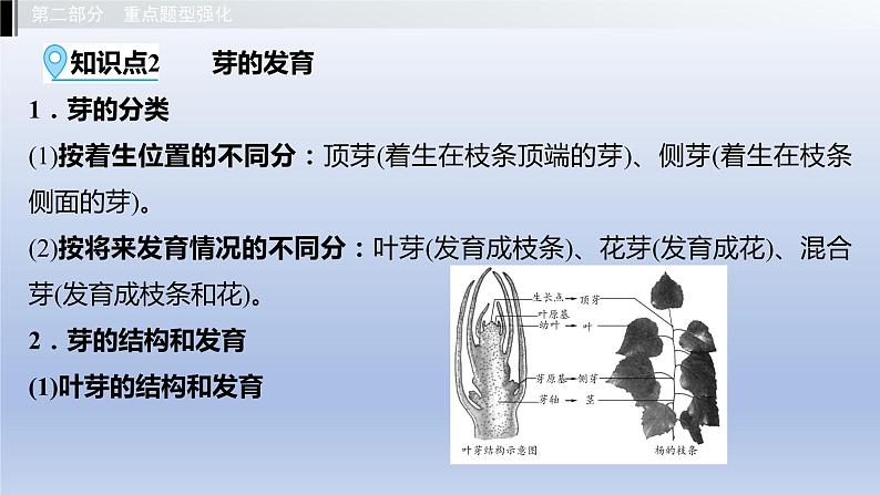 第三单元植物的生活第一章种子的萌发和芽的发育第二章根的吸收作用课件2021年广西中考生物基础复习05