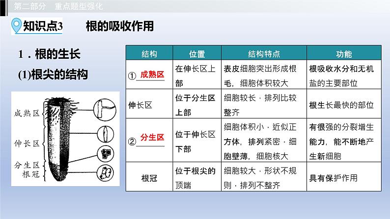 第三单元植物的生活第一章种子的萌发和芽的发育第二章根的吸收作用课件2021年广西中考生物基础复习08