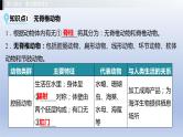第一单元我们身边的生命世界第四章多种多样的动物课件2021年广西中考生物基础复习