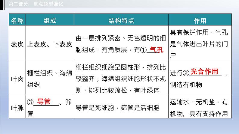 第三单元植物的生活第三、四、五章叶的光合作用呼吸作用和蒸腾作用绿色植物在生物圈中的作用课件2021年广西中考生物基础复习第5页