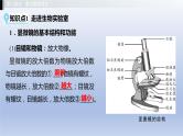 第一单元我们身边的生命世界第一章开启生物科学之门课件2021年广西中考生物基础复习