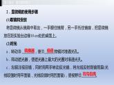 第一单元我们身边的生命世界第一章开启生物科学之门课件2021年广西中考生物基础复习