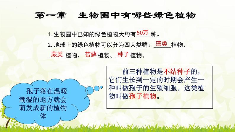 2022年中考生物鲁科版专题复习课件---第三单元生物圈中的绿色植物01