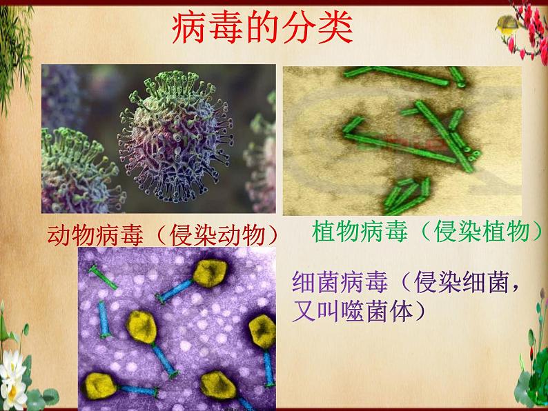 2022年济南版中考生物专题复习课件---生物圈中的微生物04