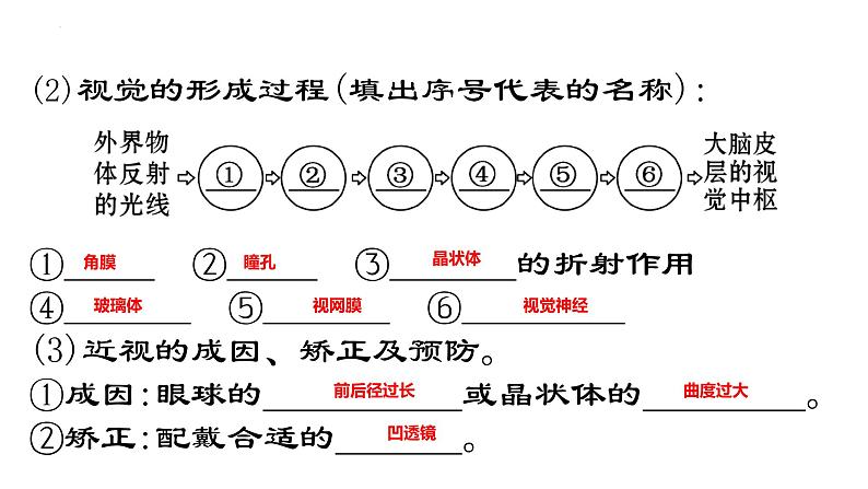 2022年中考二轮复习生物圈中的人第三课时课件第5页