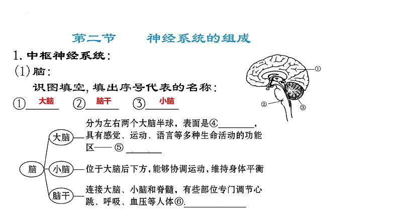 2022年中考二轮复习生物圈中的人第三课时课件第8页