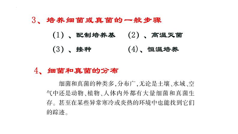 2022年生物中考二轮复习课件：第五单元生物圈中的其他生物（第三课时）（第四章、第五章）第4页