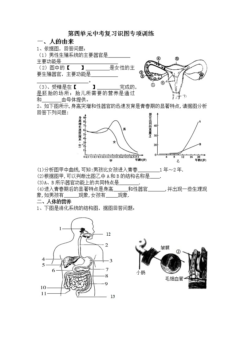 2022年中考复习：识图专项训练第1页