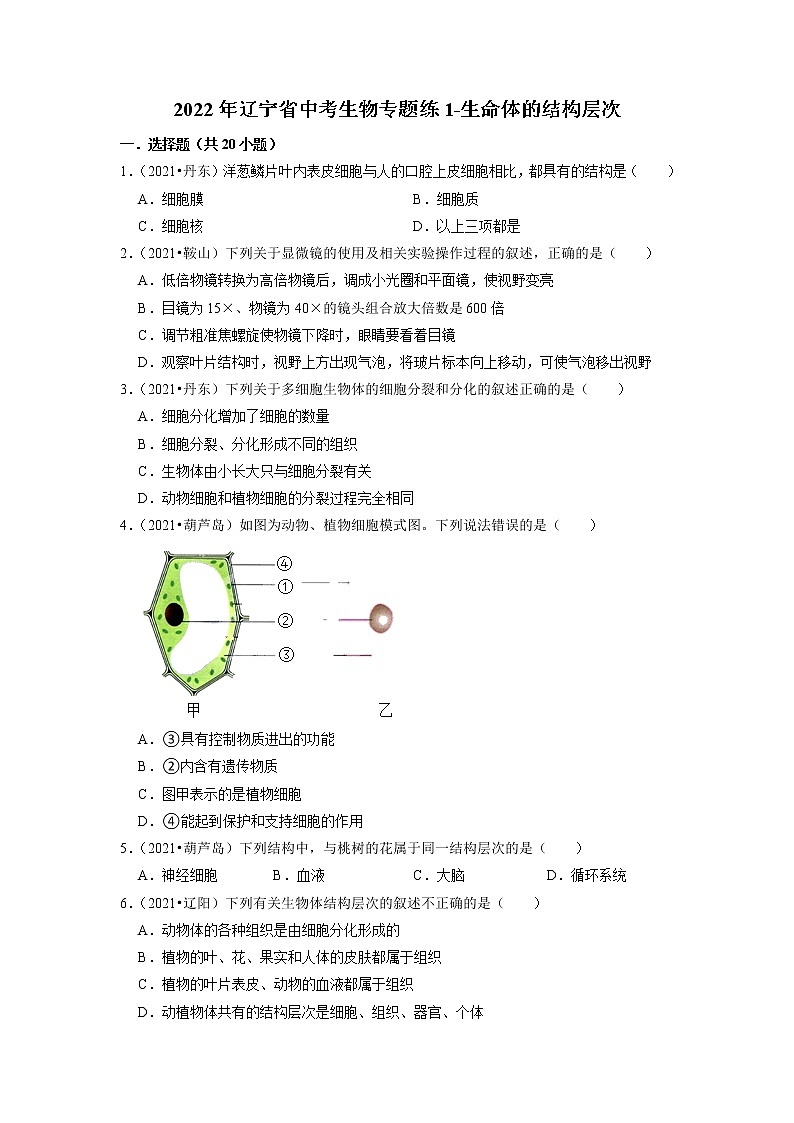 2022年辽宁省中考生物二轮专题练1-生命体的结构层次01