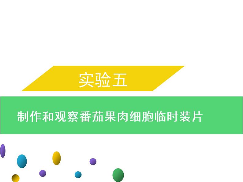 实验五制作和观察番茄果肉细胞临时装片--2022年中考生物实验手册总复习课件PPT01