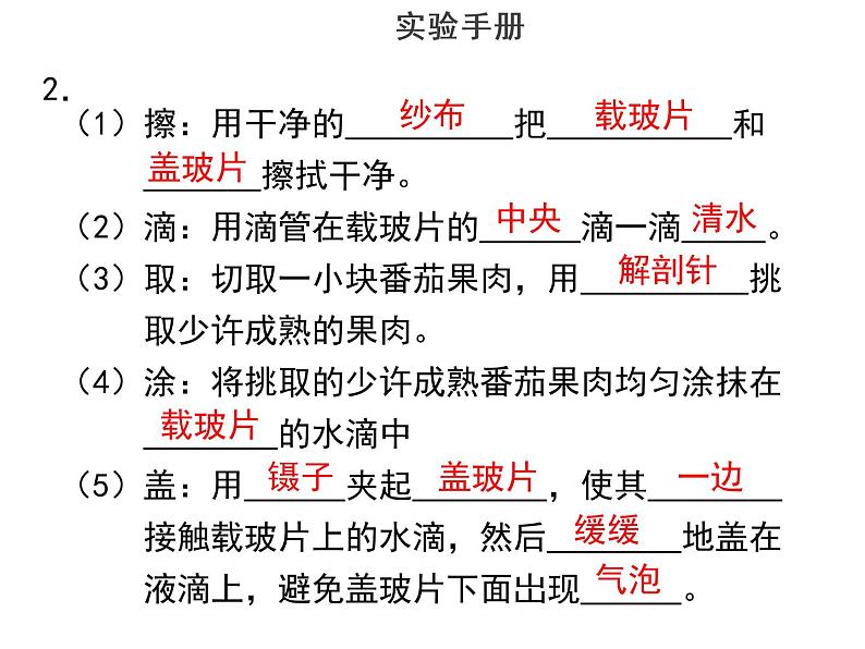 实验五制作和观察番茄果肉细胞临时装片--2022年中考生物实验手册总复习课件PPT05