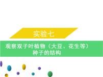 实验七观察双子叶植物--2022年中考生物实验手册总复习课件PPT