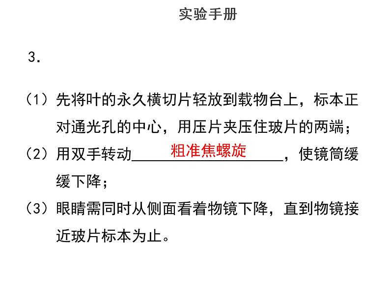 实验一使用显微镜观察叶的永久横切片--2022年中考生物实验手册总复习课件PPT第5页