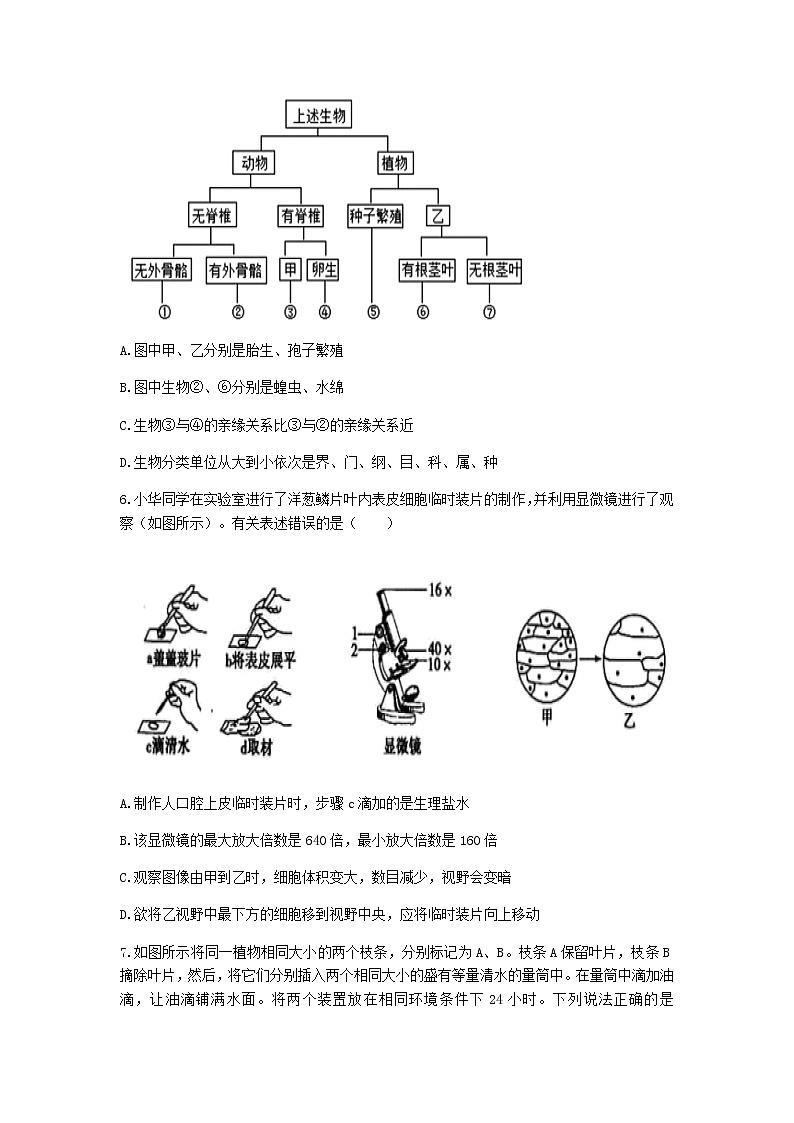 2022年山东省济宁市兖州区初中学业学业水平二模考试生物试题(word版含答案)03