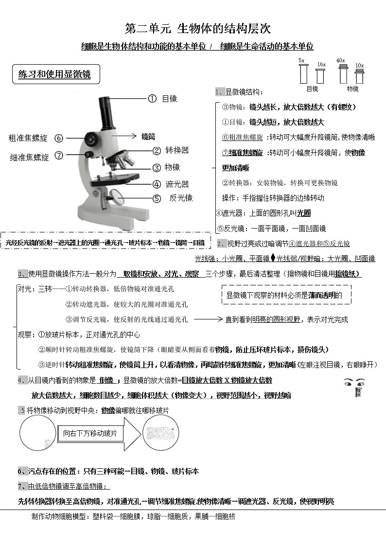人教版七上生物第二单元《生物体的结构层次》知识点2第1页