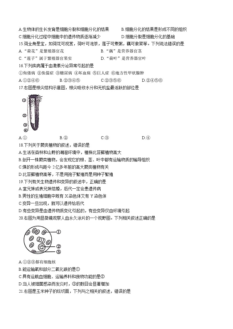 2022年江苏省宿迁市泗阳县中考二模生物试题(word版含答案)第3页