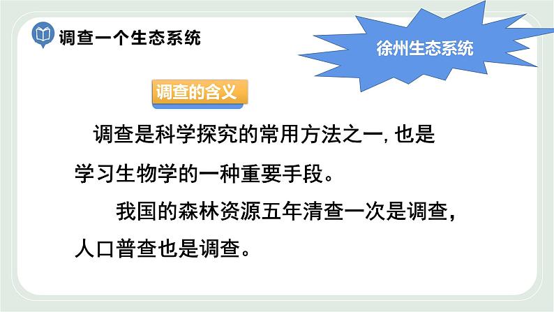 3.1 多种多样的生态系统 第2课时-七年级生物上册 课件+练习（苏科版）05