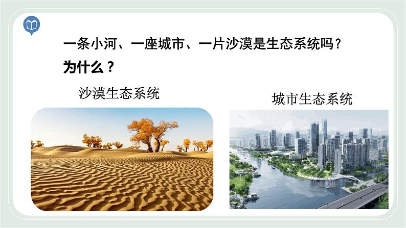 3.1 多种多样的生态系统 第3课时-七年级生物上册 课件+练习（苏科版）07