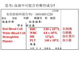 济南版七年级下册生物 3.1物质运输的载体 课件