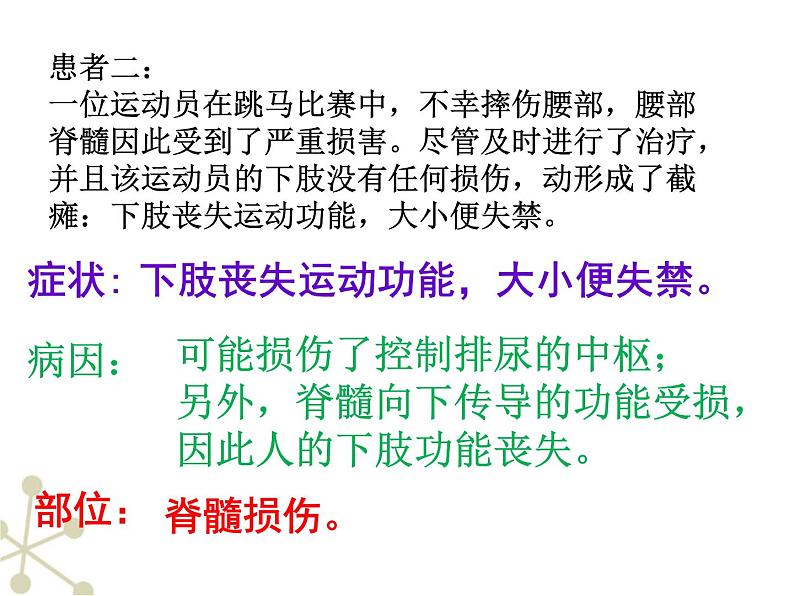 冀教版七年级下册生物 4.2.1传递信息的神经系统 课件05