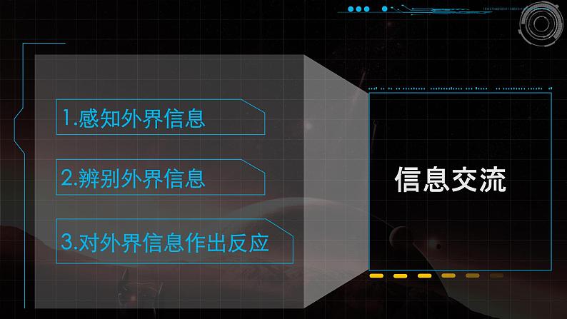 冀教版七年级下册生物 4.1.1视觉的形成 课件02