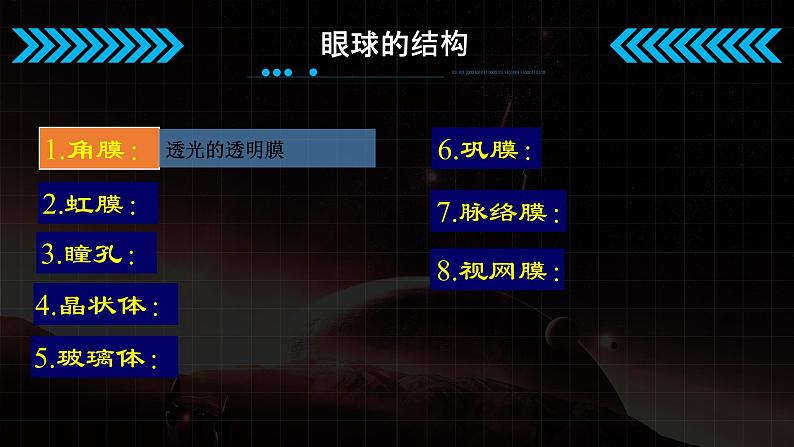 冀教版七年级下册生物 4.1.1视觉的形成 课件07