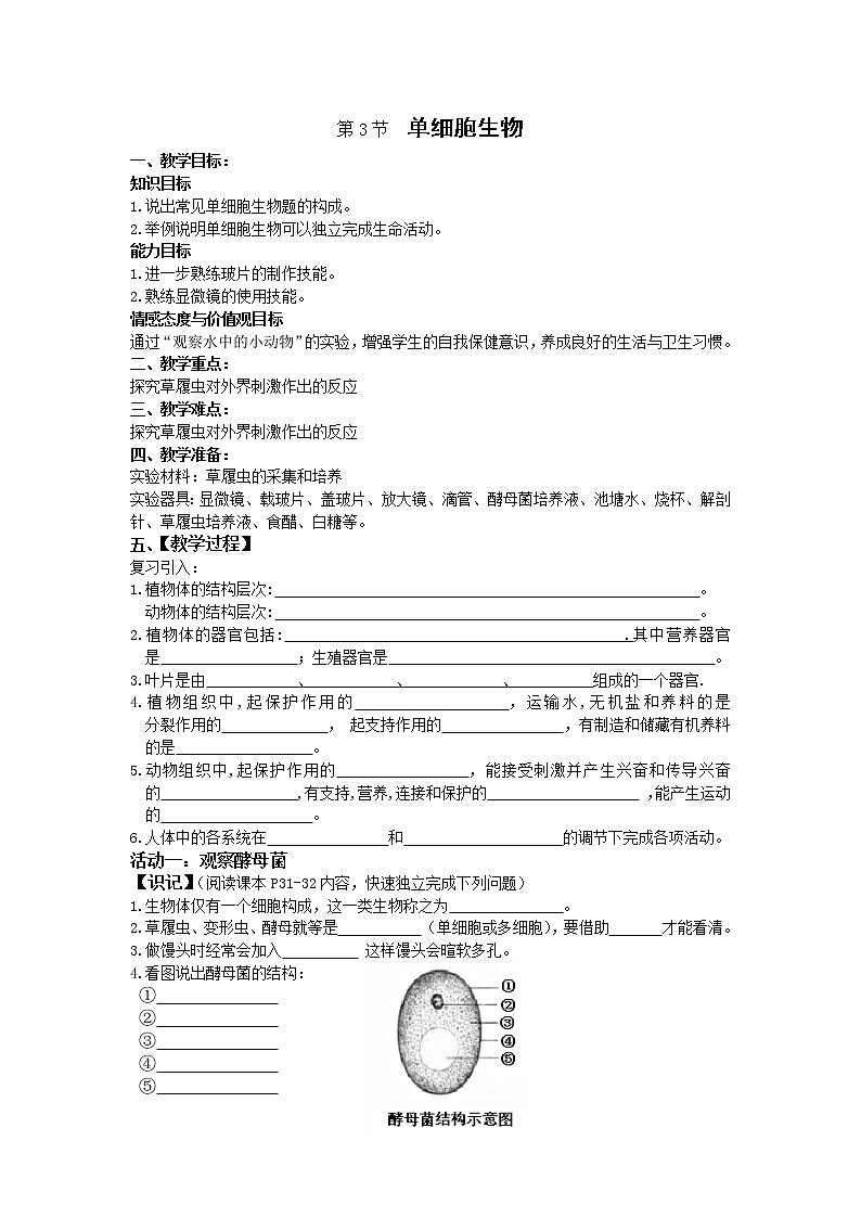 苏科版七下生物  9.3单细胞生物体 教案01
