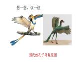 北师大版生物八年级下册第21章 《生命的发生和发展》21.2 生物进化的历程  教学PPT课件