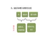 北师大版生物八年级下册第21章 《生命的发生和发展》21.2 生物进化的历程  教学PPT课件