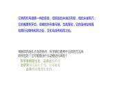 北师大版生物八年级下册第21章 《生命的发生和发展》21.2 生物进化的历程  教学PPT课件